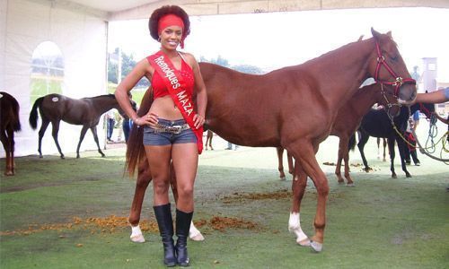 CABALLO