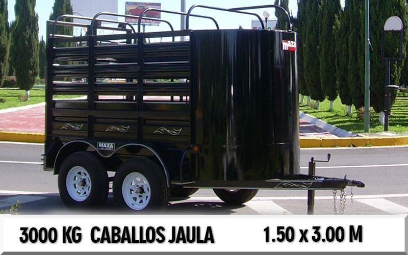 CABALLOS-JAULA-3000