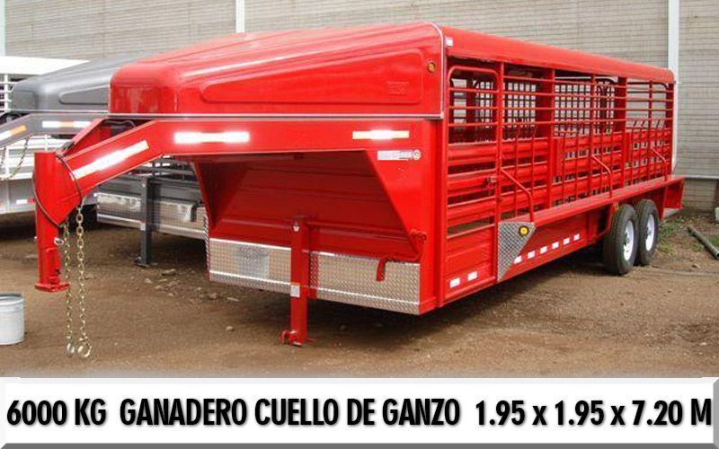 CUELLO-DE-GANSO