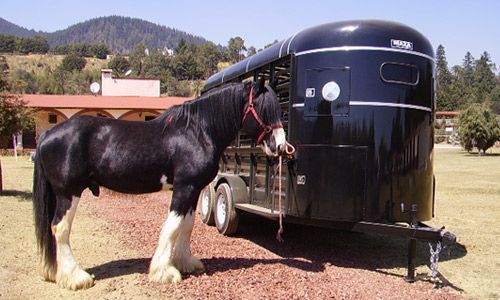 REMOLQUECABALLO