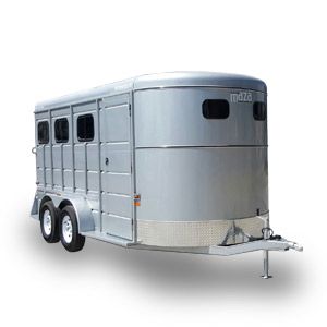 20-LUJO-3-CABALLOS--3000-KG-2.05-X2.00-X4