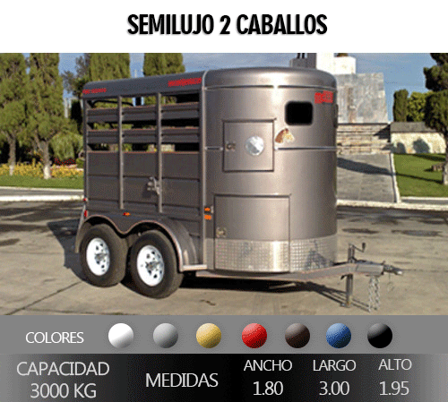 CABALLOS-SEMILUJO2CABALLOS