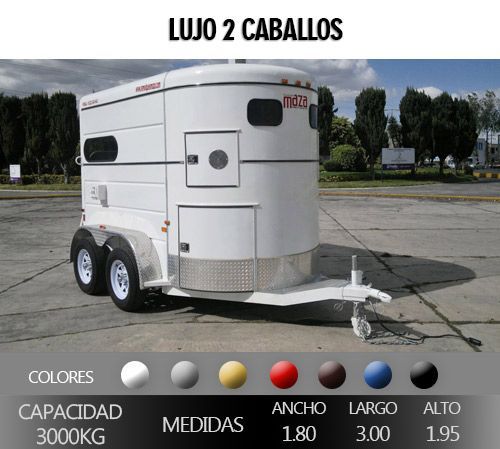LUJO2-CABALLOS-300KG