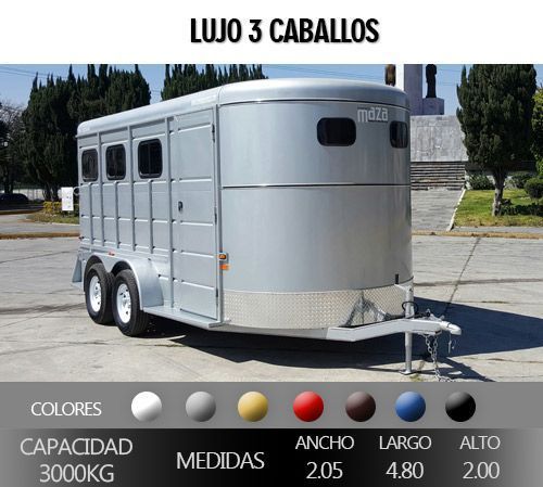 LUJO3-CABALLOS-300KG