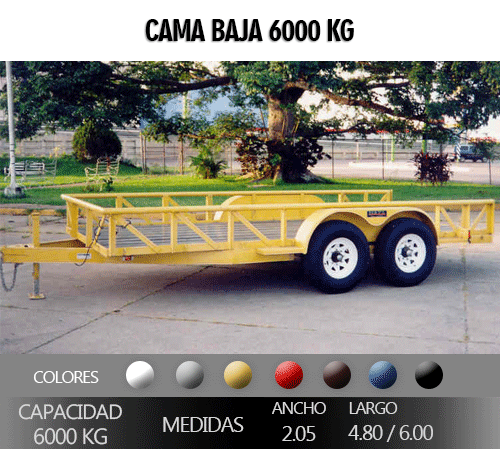 camaBaja6000kg